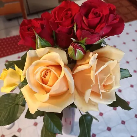 Apartamento Nonna Lisa Bari